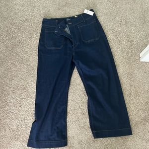 Anthropologie Collette jeans size 18p nwt